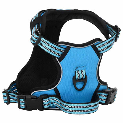 Dog Harness with Lead & Collar Adjustable Blue XL