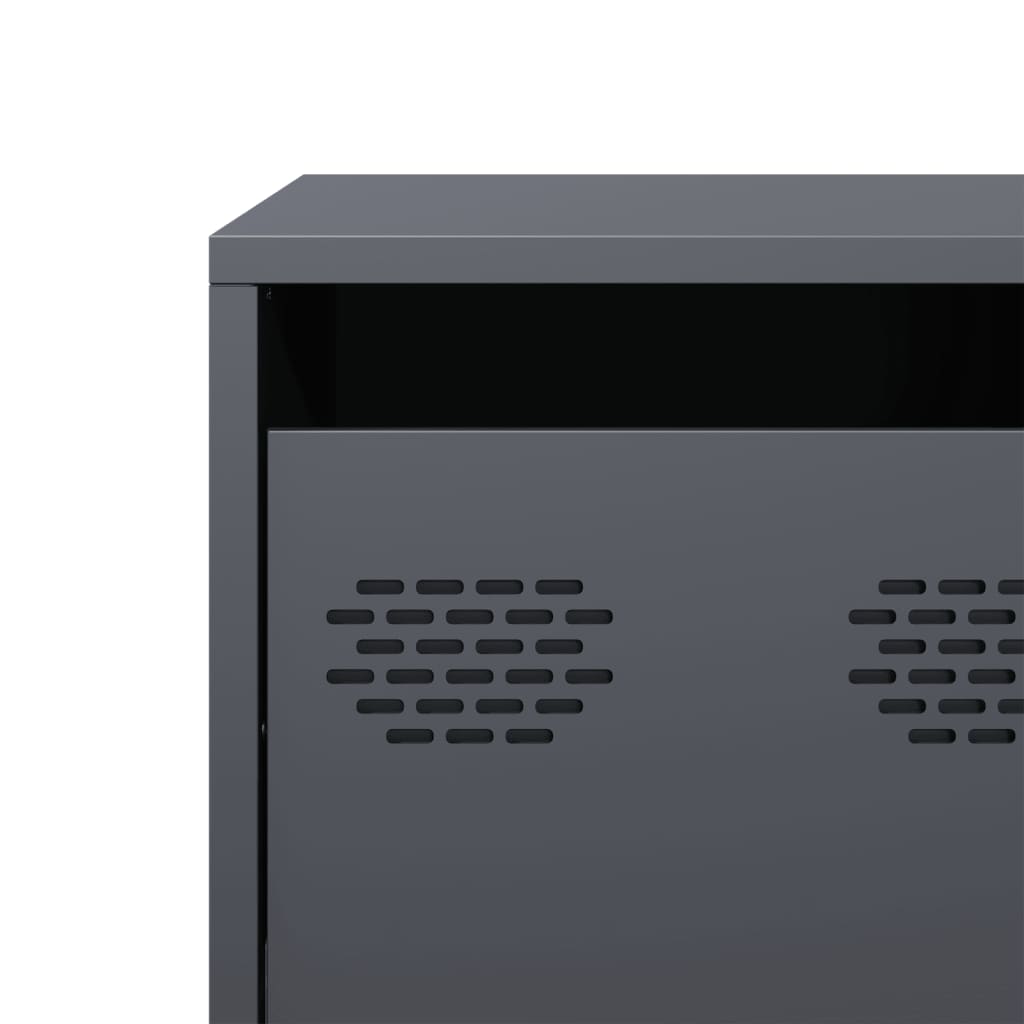 TV Cabinet Anthracite 101,5x39x43,5 cm Cold-rolled Steel