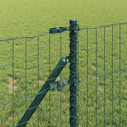 Fence with Post Green 0.8 x 25 m Steel and PVC