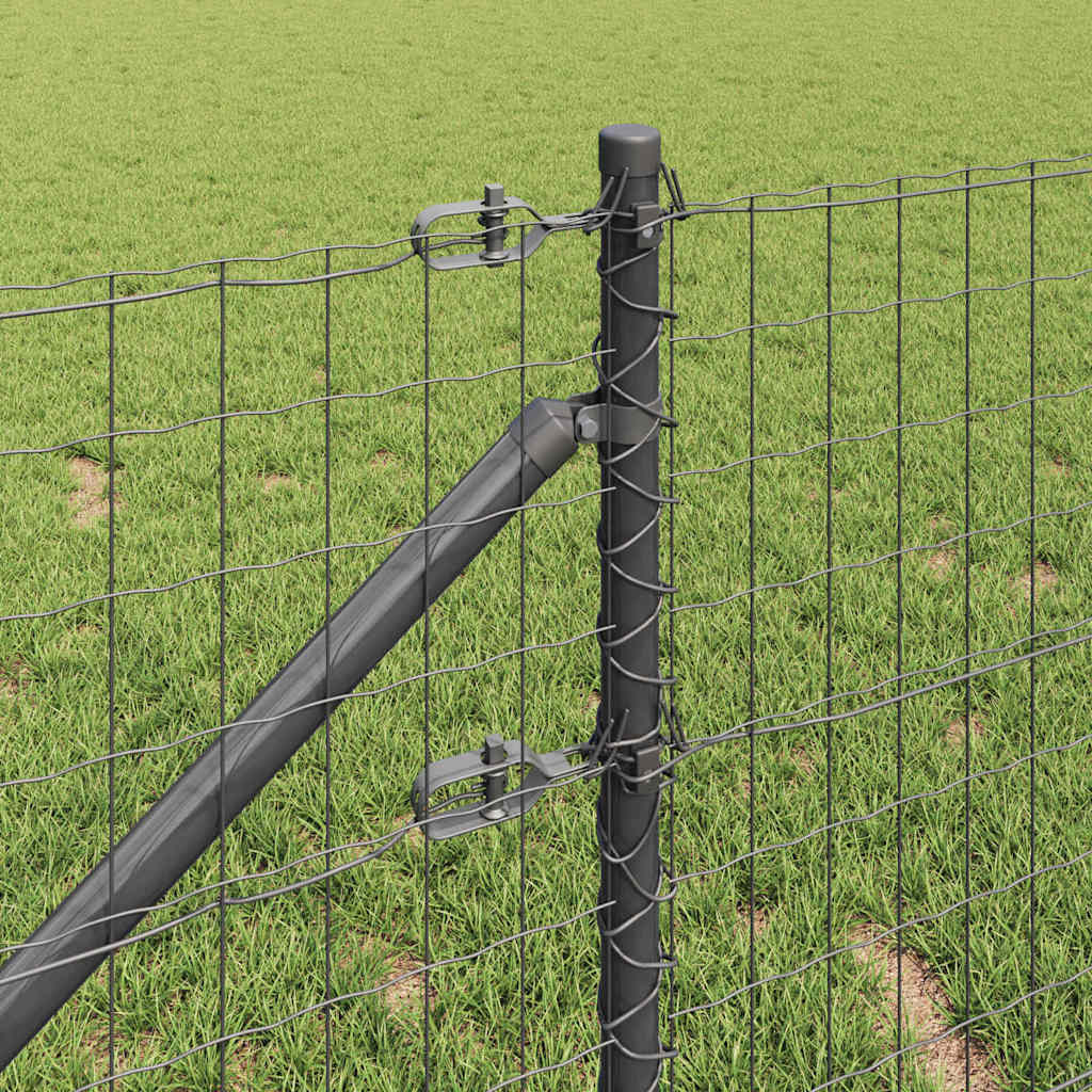 Welded Wire Fence with Spikes 10 x 1 m (W x H) PVC-Coated Steel