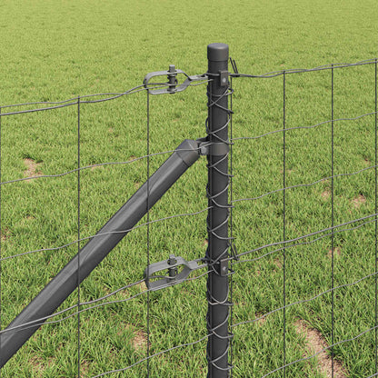 Welded Wire Fence with Spikes 10 x 0.8 m (W x H)