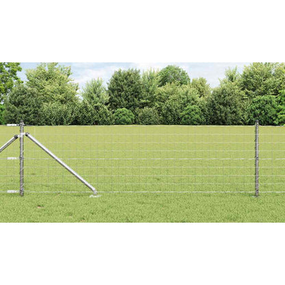 Fence with Post Silver 0.6 x 50 m Steel