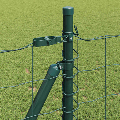 Fence with Post Green 1 x 25 m Steel