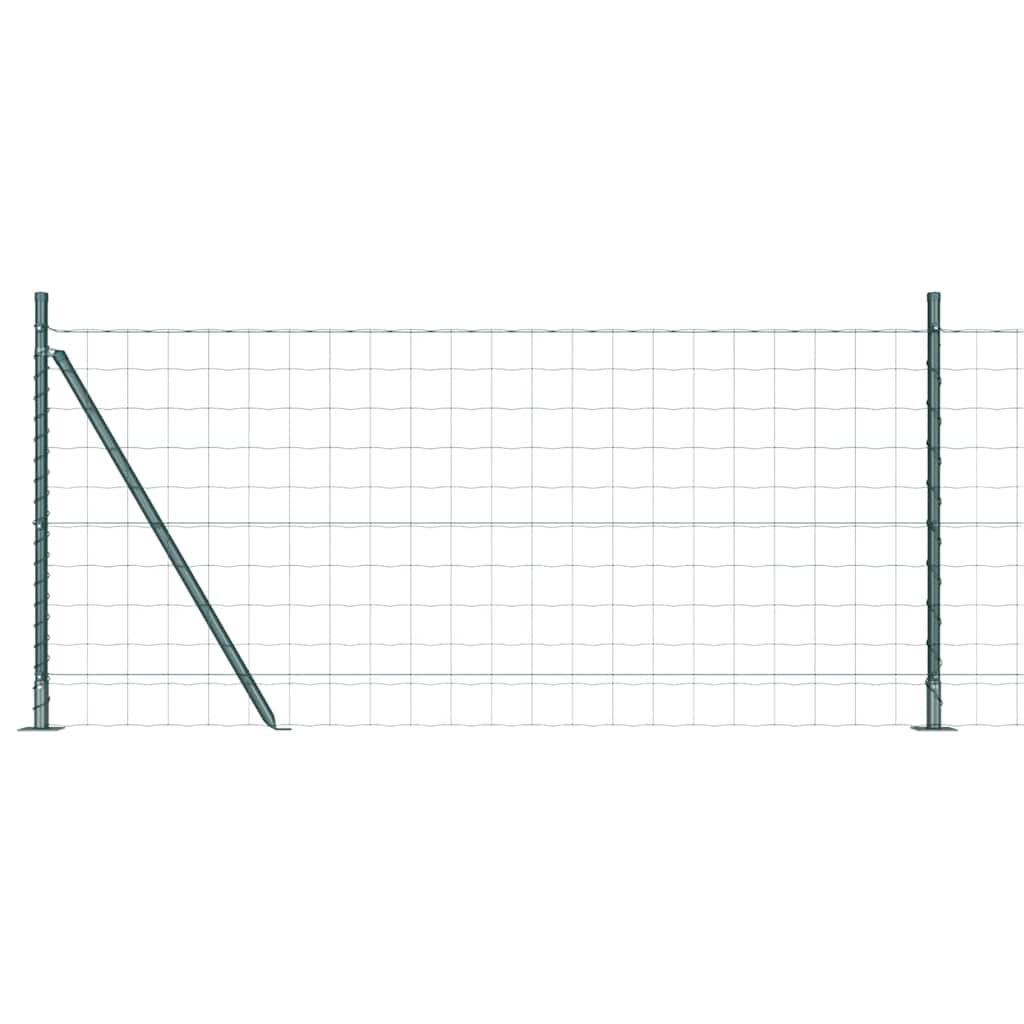 Fence with Post Green 1 x 25 m Steel