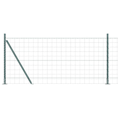 Fence with Post Green 1 x 25 m Steel