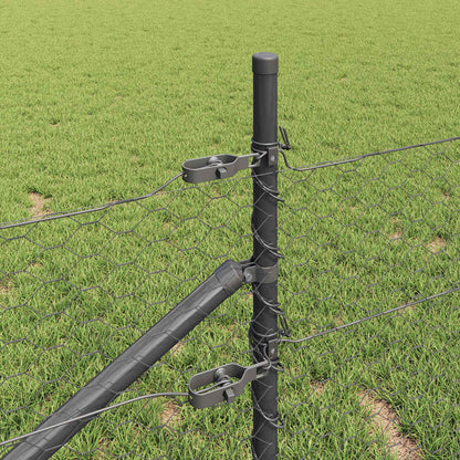 Welded Wire Fence with Spikes 10 x 0.8 m (W x H)
