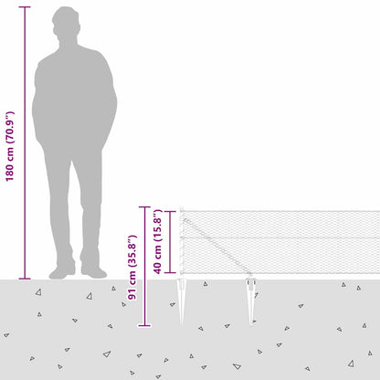 Welded Wire Fence with Spikes 100 x 0.4 m (W x H)