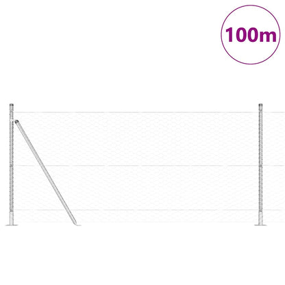 Welded Wire Fence with Concrete Base 100 x 1 m (W x H)