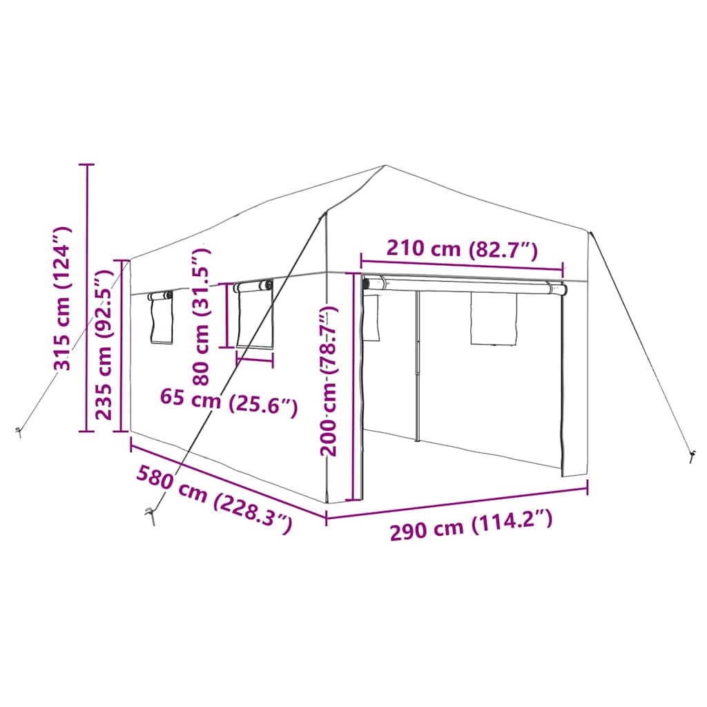 Greenhouse with Pop-up Frame Green 290 x 580 x 315 cm Iron