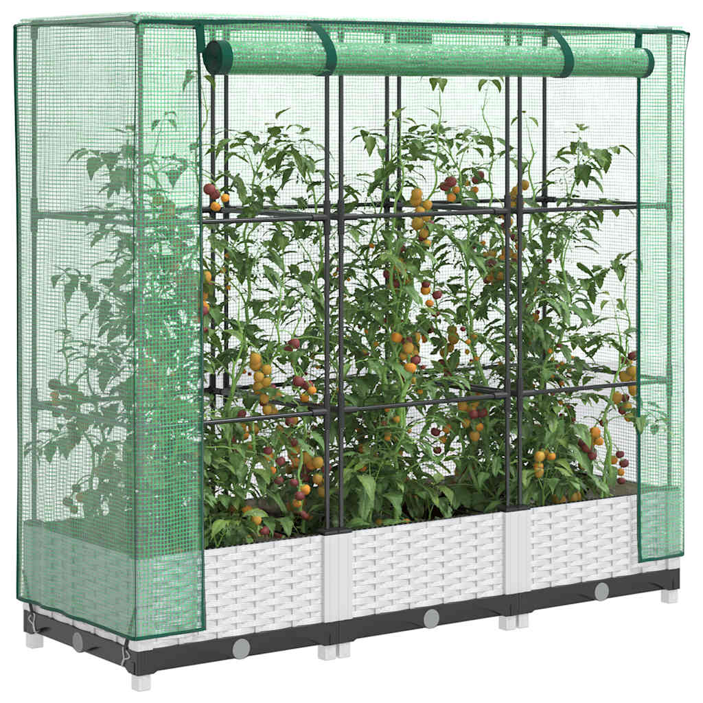 Raised Bed with Greenhouse Cover Rattan Look 120x40x123 cm