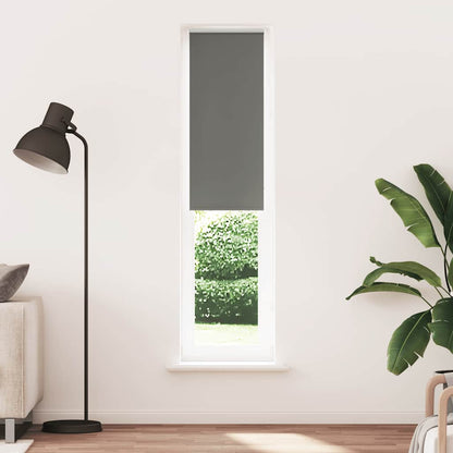Roller Blind Blackout Grey 60x210 cm Fabric Width 55.7 cm Polyester