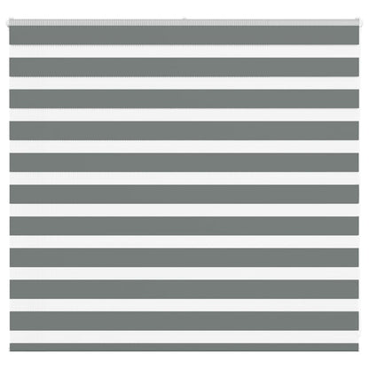 Zebra Blind Dark Grey 155x100 cm Fabric Width 150.9 cm Polyester