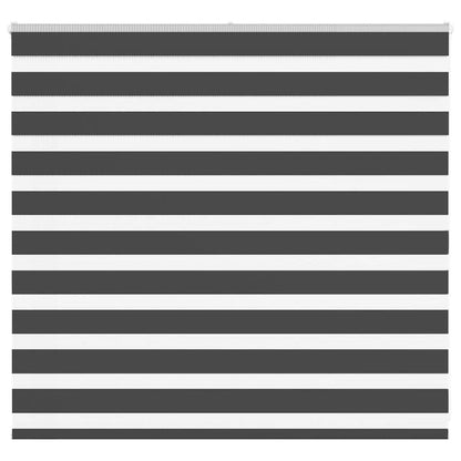 Zebra Blind Black 165x100 cm Fabric Width 160.9 cm Polyester