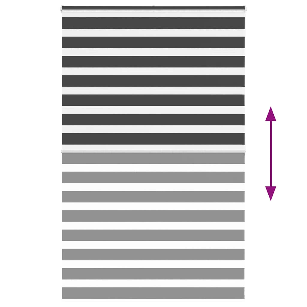 Zebra Blind Black 150x200 cm Fabric Width 145,9 cm Polyester