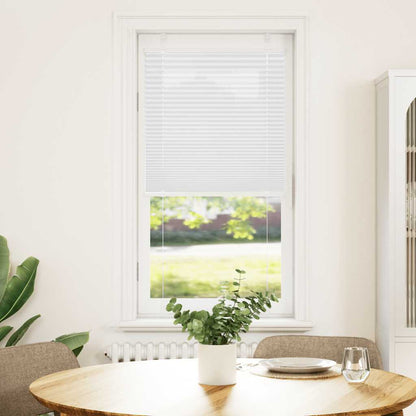 Pleated Blind White 55x100 cm Fabric Width 54.4 cm Polyester