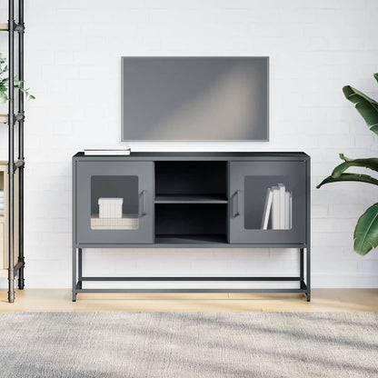 TV Cabinet Anthracite 100,5x39x60,5 cm Steel
