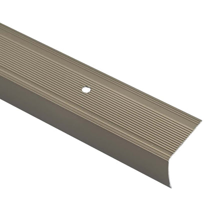 Stair Nosings 10 pcs Champagne 67 x 3 x 2 cm Aluminium