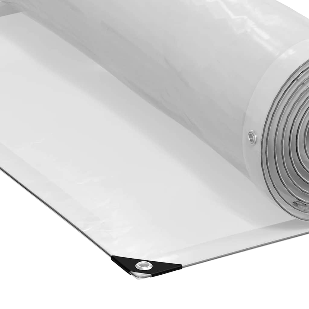Clear Tarpaulin with Eyelets 1x3 m Polyethylene