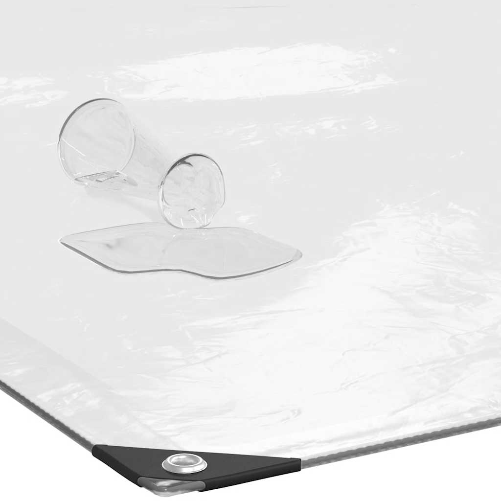 Clear Tarpaulin with Eyelets 2x4 m Polyethylene
