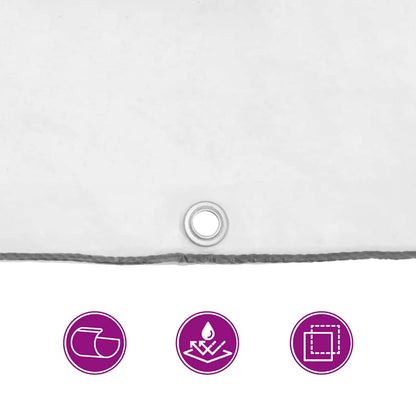 Clear Tarpaulin with Eyelets 2x4 m Polyethylene