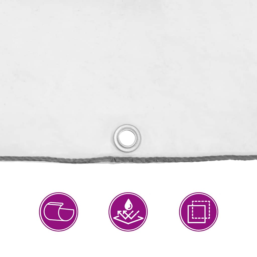 Clear Tarpaulin with Eyelets 2x5 m Polyethylene