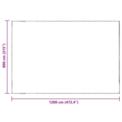 Clear Tarpaulin with Eyelets 8x12 m Polyethylene