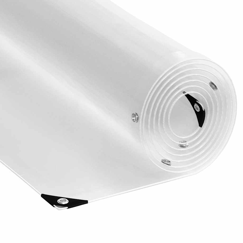 Clear Tarpaulin with Eyelets 2x5 m PVC