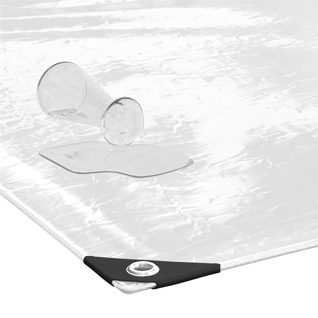 Clear Tarpaulin with Eyelets 2x5 m PVC