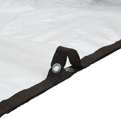 Plant Cover with Eyelets 1x3 m Polyethylene