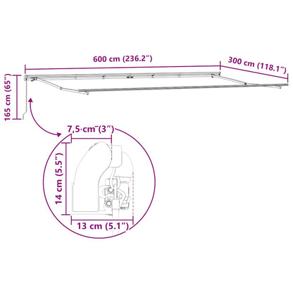 Manual Retractable Awning Burgundy 600x300 cm