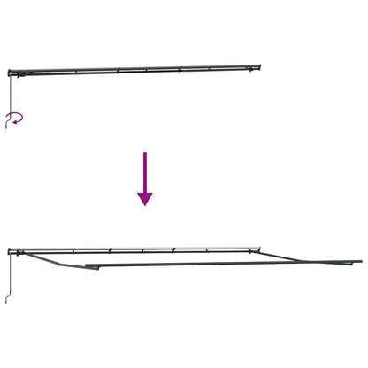 Manual Retractable Awning Brown 600x300 cm