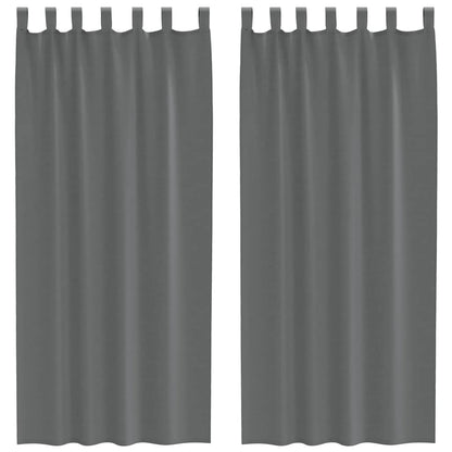 Voile Curtains with Loops 2 pcs Dark Grey 140x225 cm