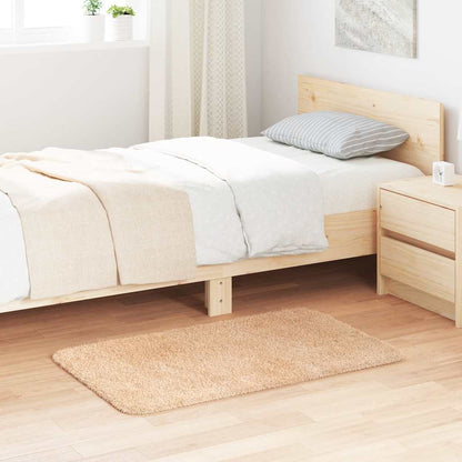 Shaggy Rug High Pile NAVARRA Beige 60x100 cm Polyester