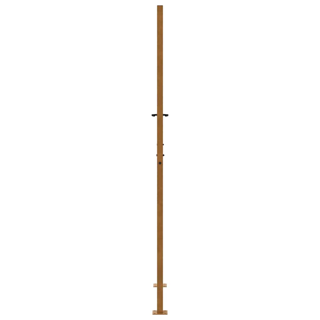 Garden Gate 100x200 cm Weathering Steel Flame Design
