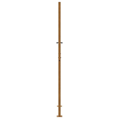 Garden Gate 100x200 cm Weathering Steel Flame Design