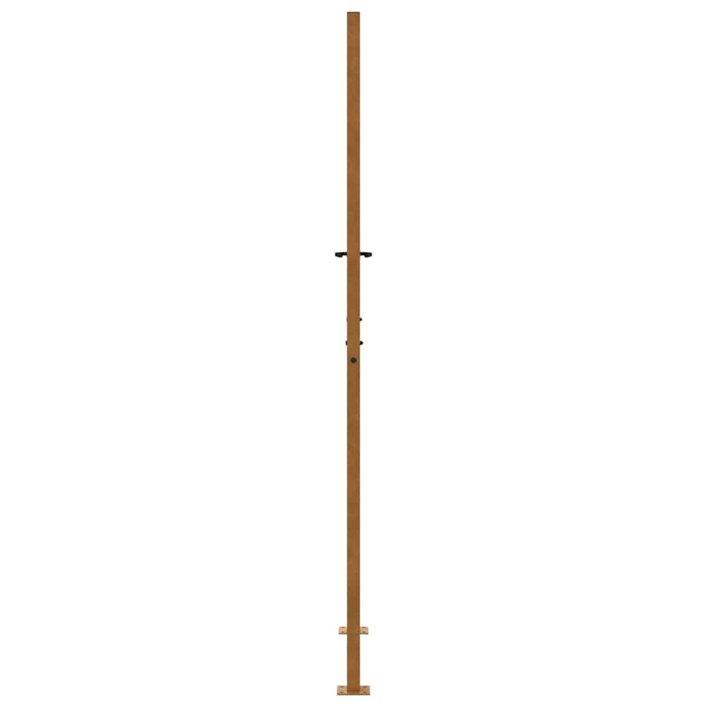 Garden Gate 100x200 cm Weathering Steel Flame Design