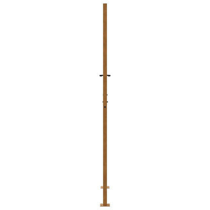 Garden Gate 100x200 cm Weathering Steel Flame Design
