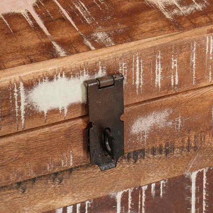 Storage Box with Storage with Door Brown Solid Mango Wood