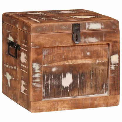 Storage Box with Storage with Door Brown Solid Mango Wood