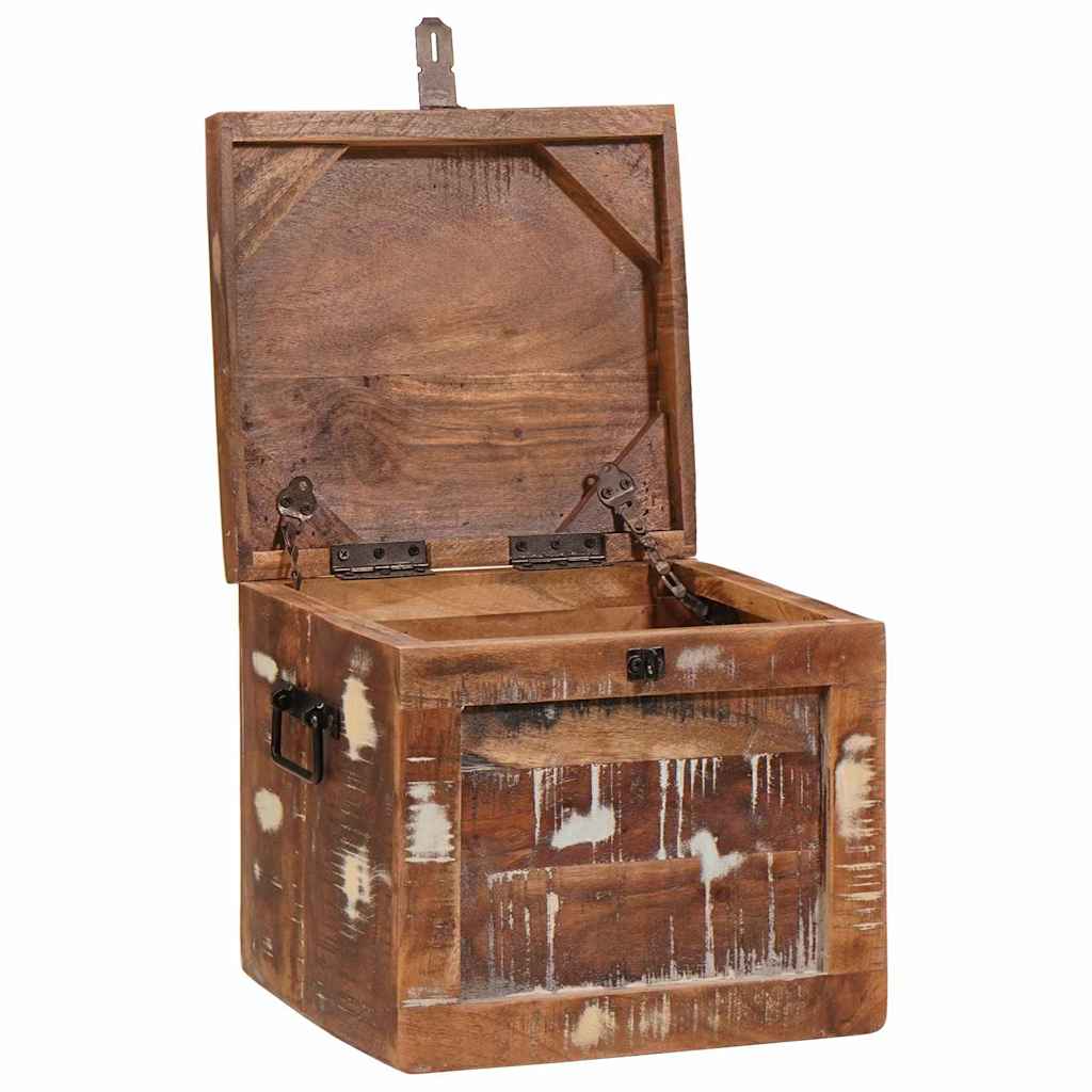 Storage Box with Storage with Door Brown Solid Mango Wood