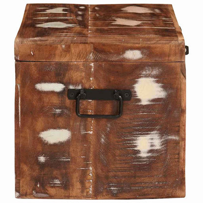Storage Box with Storage with Door Brown Solid Mango Wood