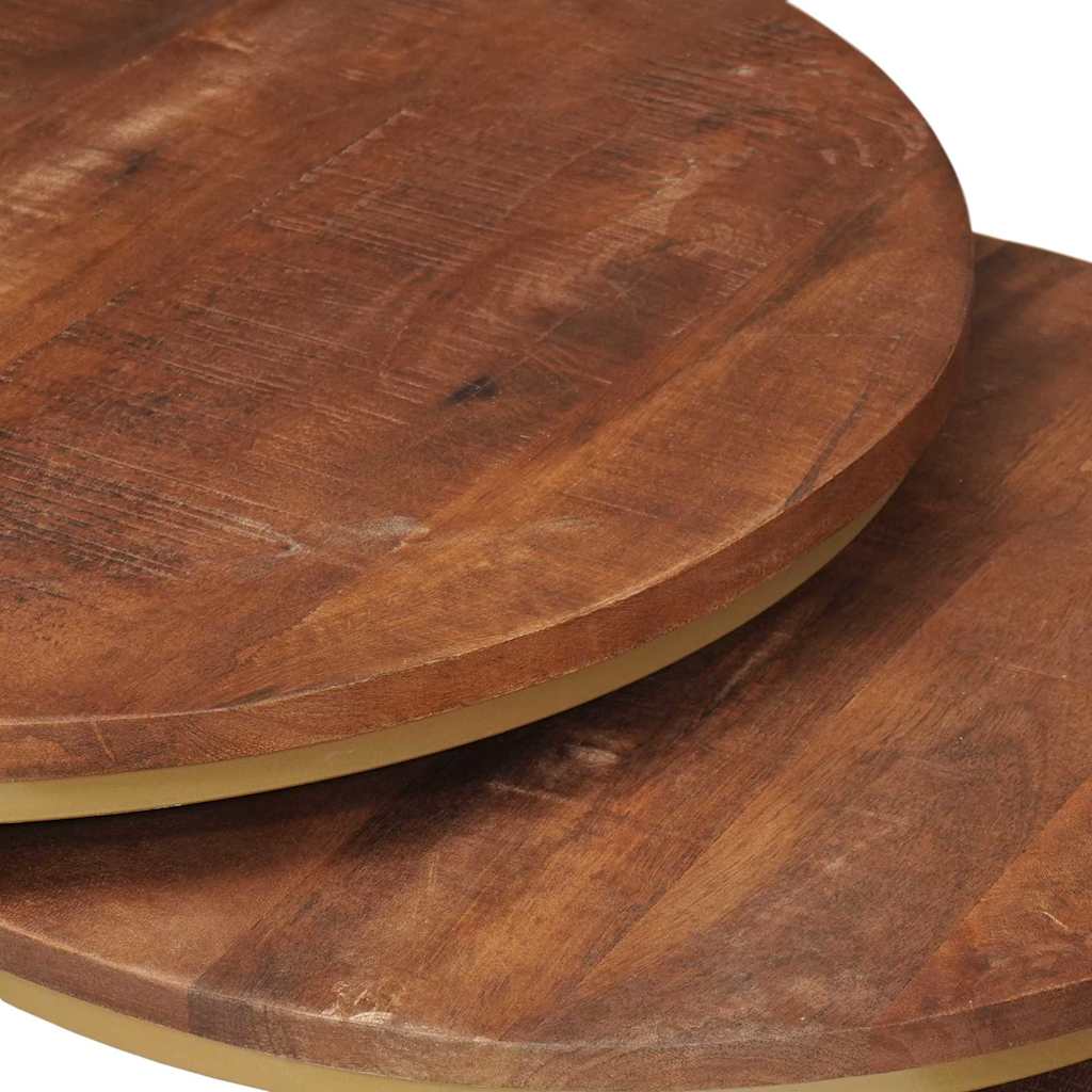 Nesting Coffee Tables 2 pcs Solid Mango Wood and Steel