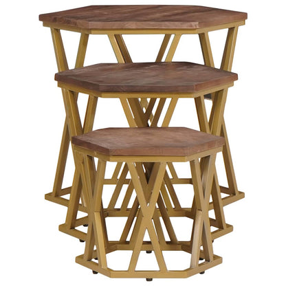 Coffee Tables Brown 55 x 55 x 50 cm Solid Mango Wood