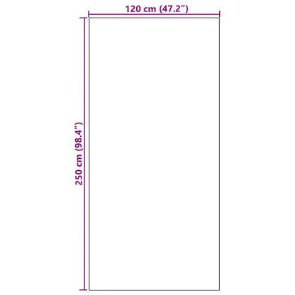 Doormat Black 120 x 250 cm 100% Polyamide