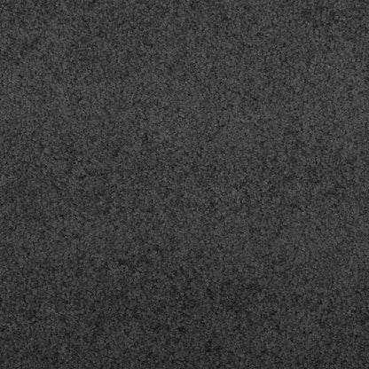 Doormat Anthracite and Black 120 x 350 cm 100% Polyamide