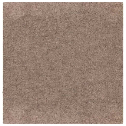 Anti-slip Shaggy Rug Brown 200 x 200 cm PP