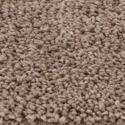 Anti-slip Shaggy Rug Brown 240 x 340 cm PP