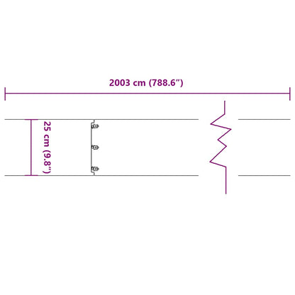Lawn Edging 20 pcs 25 x 103 cm Stainless Steel Silver