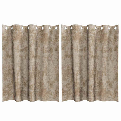 Velvet Curtains 2 pcs Champagne 140 x 140 cm Velvet