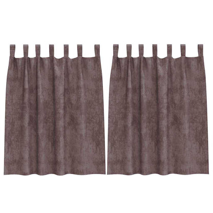 Velvet Curtains with Curtains 2 pcs Brown 140 x 140 cm Velvet